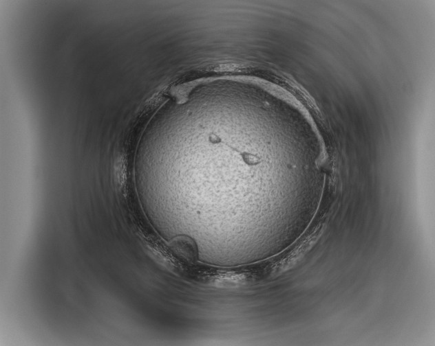 X0000116550257200912171355