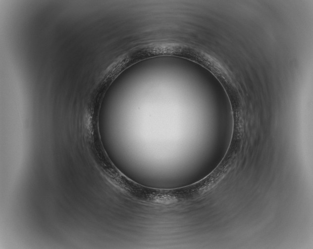 X0000116550258200912171355