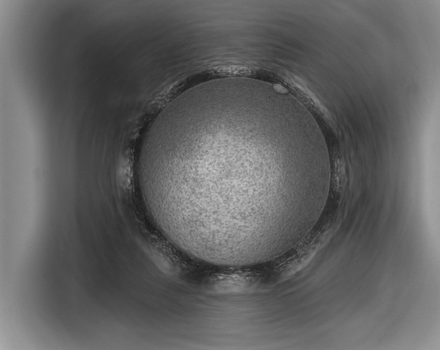 X0000116550259200912171355