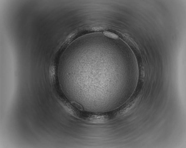 X0000116550260200912171355