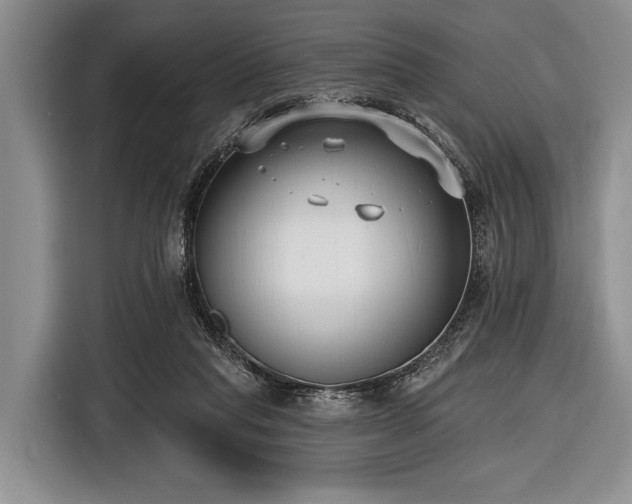 X0000116550261200912171355