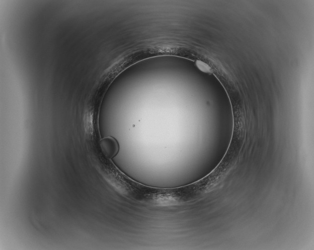 X0000116550262200912171355