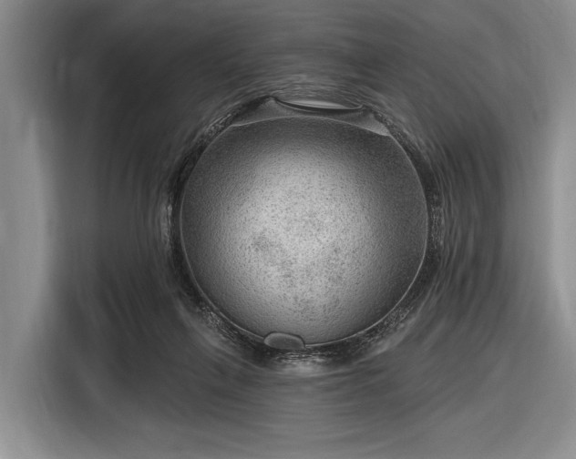 X0000116550263200912171355