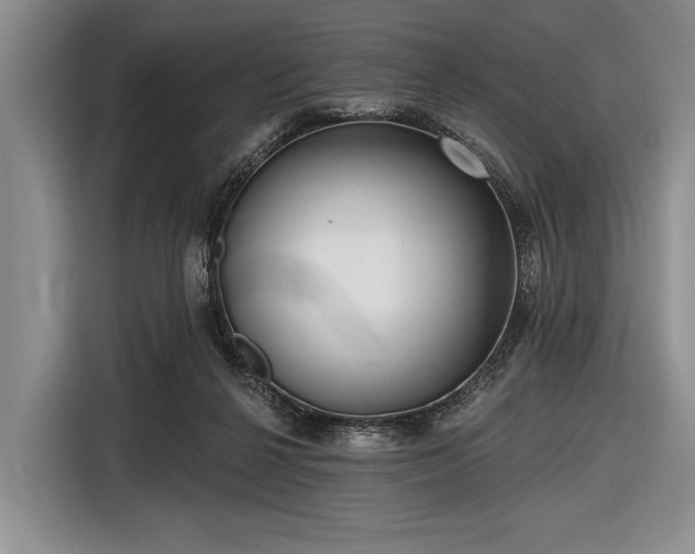 X0000116550264200912171355