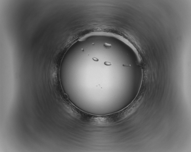 X0000116550265200912171355