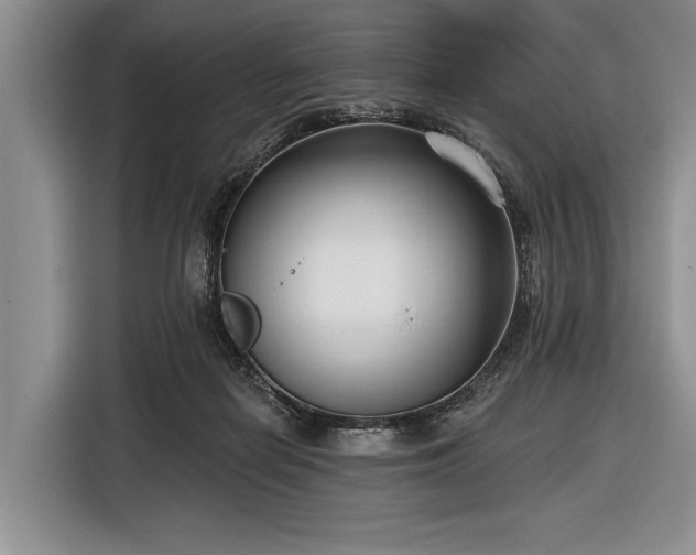 X0000116550266200912171355