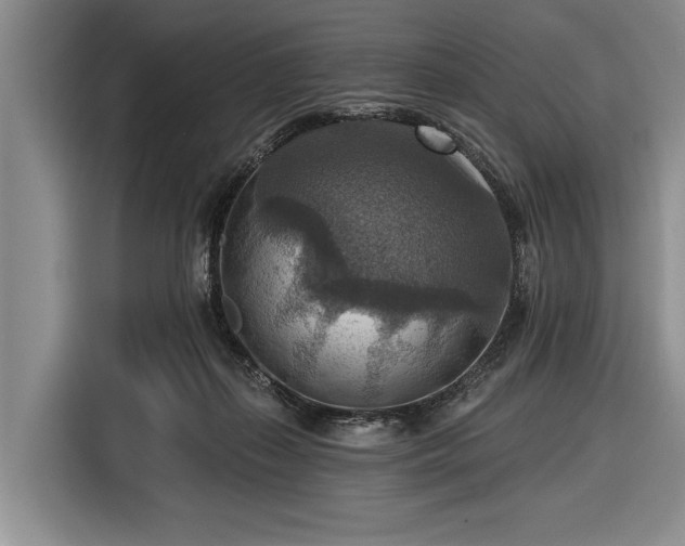 X0000116550267200912171355