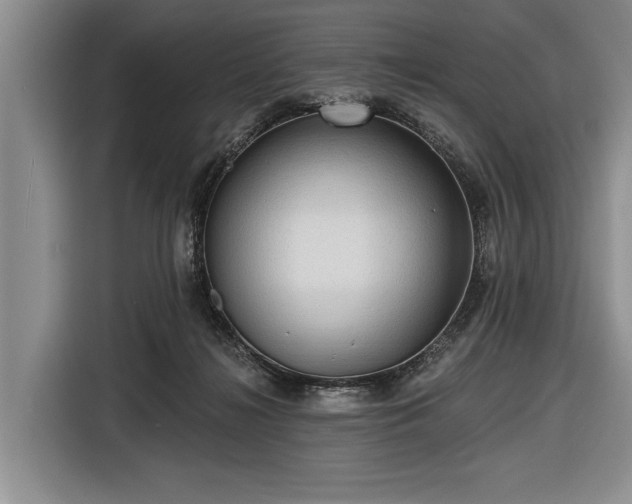 X0000116550268200912171355