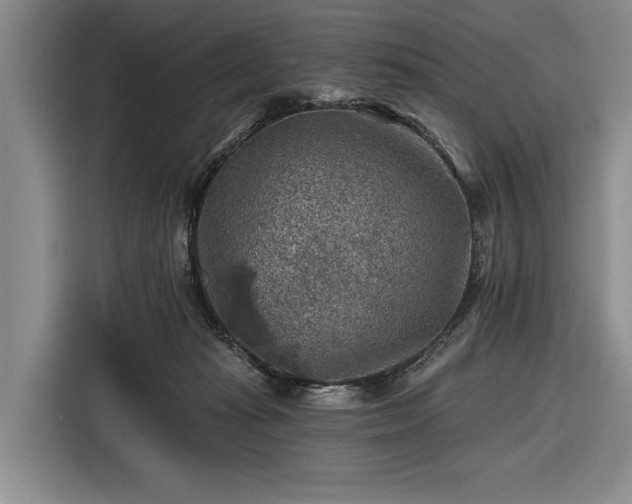 X0000116550269200912171355