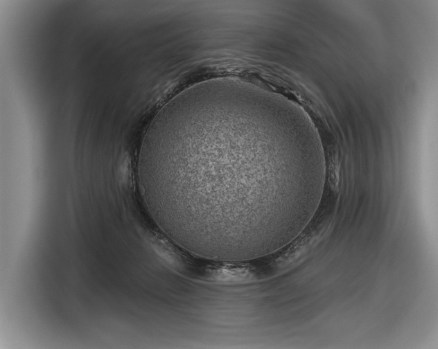 X0000116550270200912171355