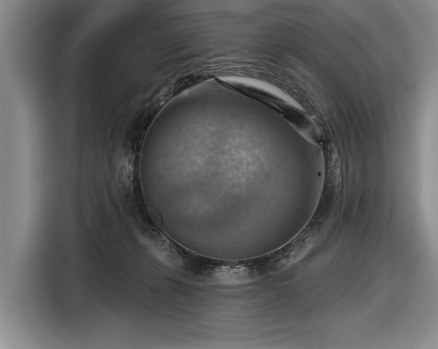 X0000116550271200912171355