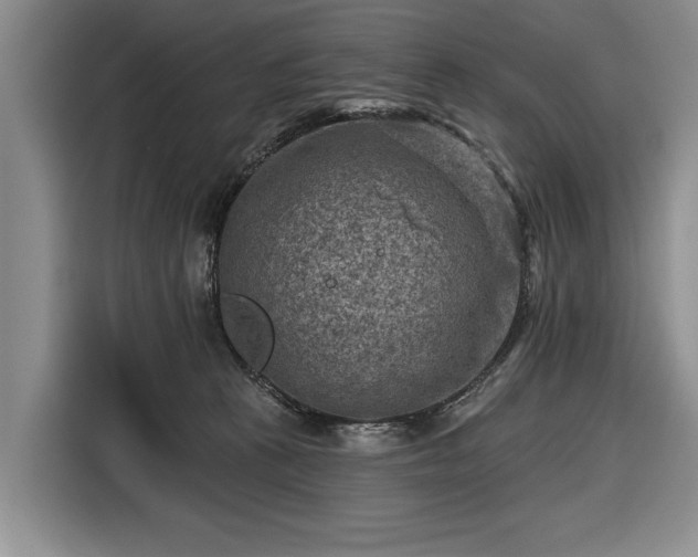 X0000116550273200912171355