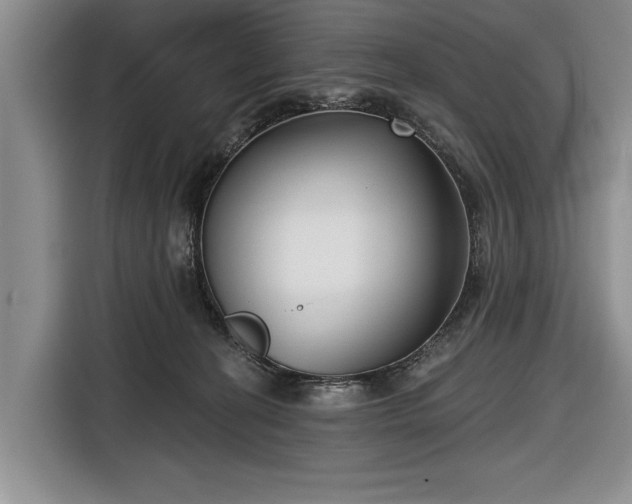 X0000116550274200912171355