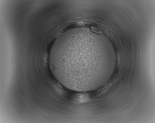 X0000116550275200912171355