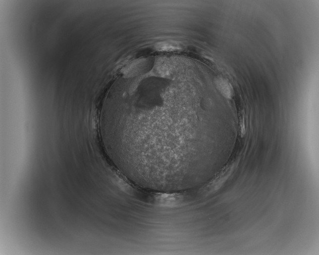 X0000116550277200912171355