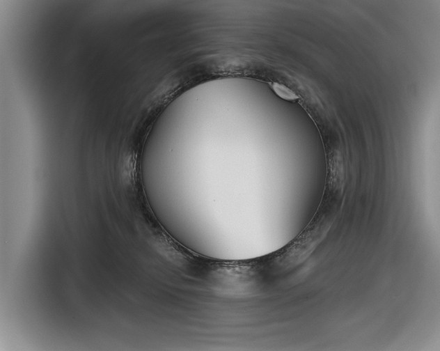 X0000116550278200912171355