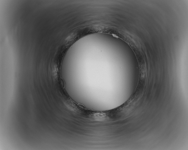 X0000116550279200912171355