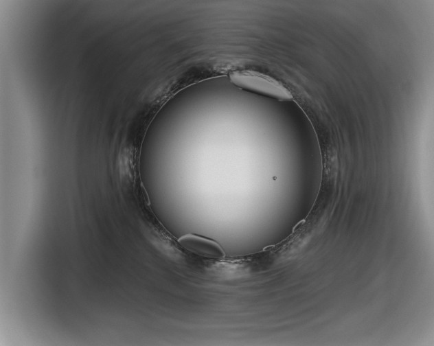 X0000116550280200912171355