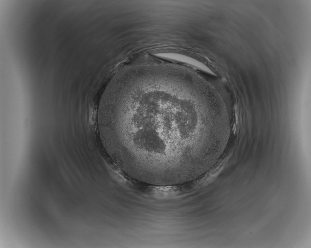 X0000116550281200912171355