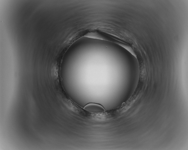 X0000116550282200912171355