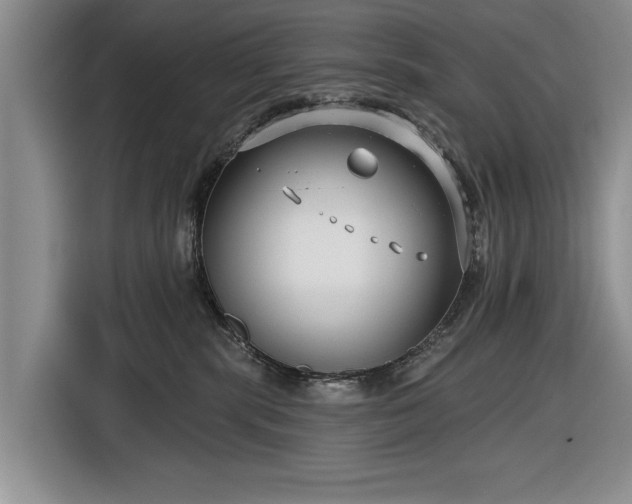 X0000116550283200912171355