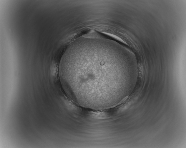 X0000116550284200912171355