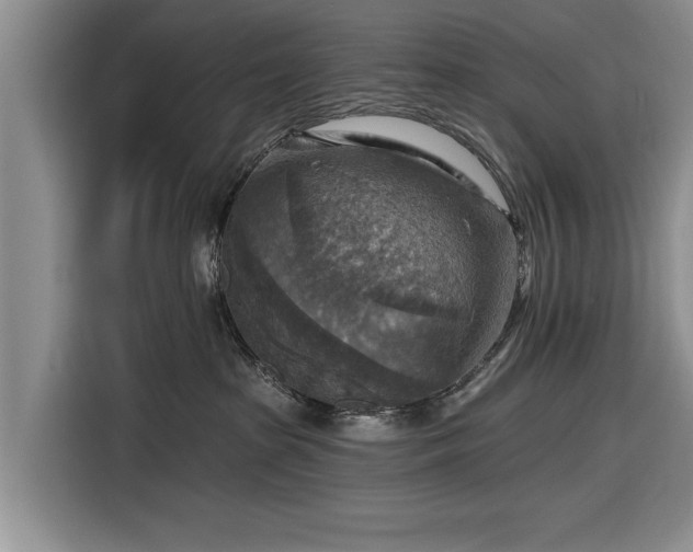 X0000116550285200912171355