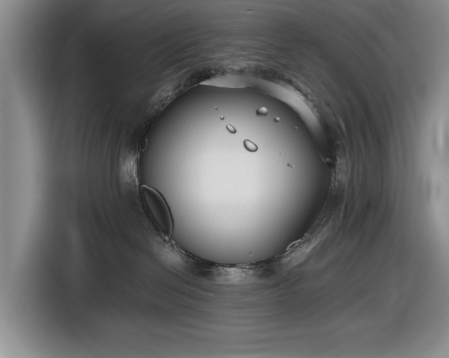 X0000116550286200912171355