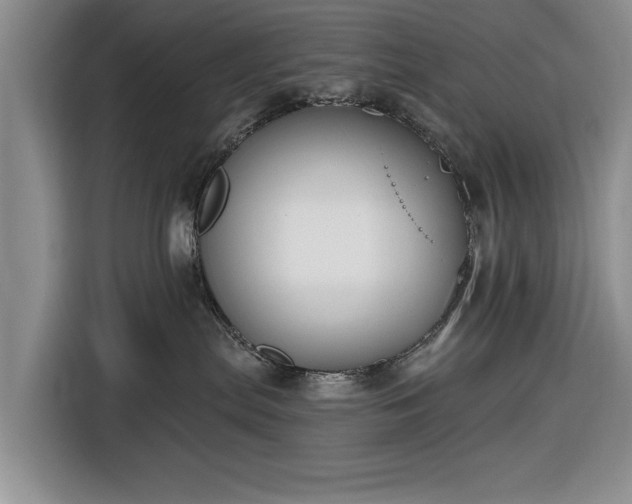 X0000116550287200912171355