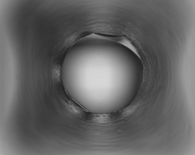 X0000116550288200912171355