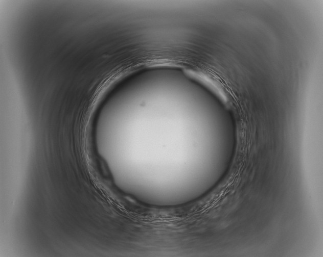 X0000116550289200912171354