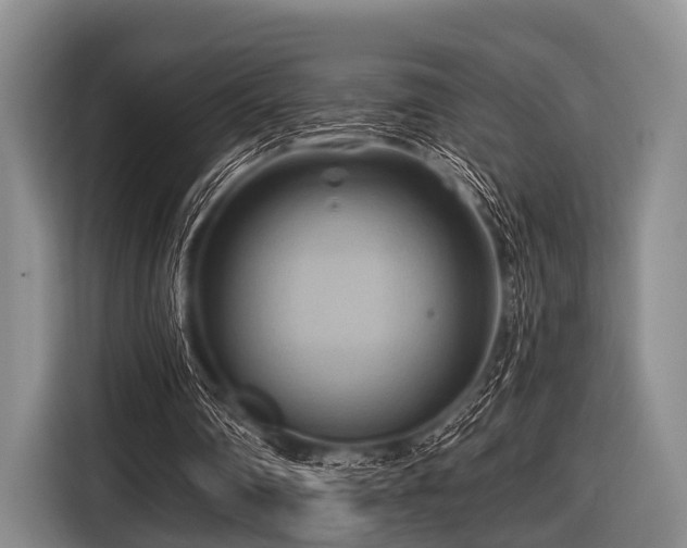 X0000116550290200912171354