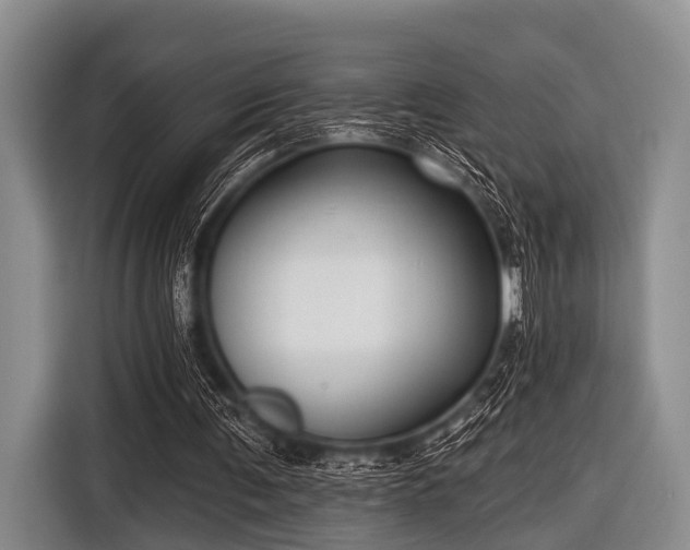 X0000116550291200912171354