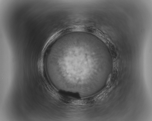 X0000116550293200912171354