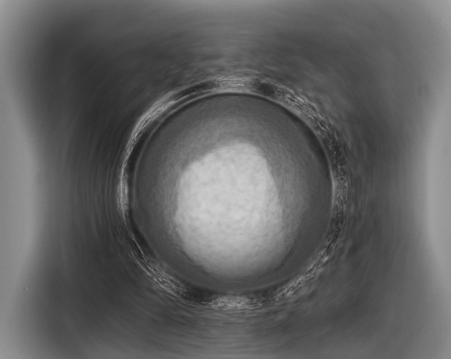 X0000116550294200912171354