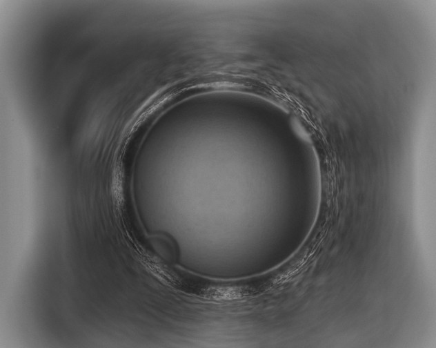 X0000116550295200912171354