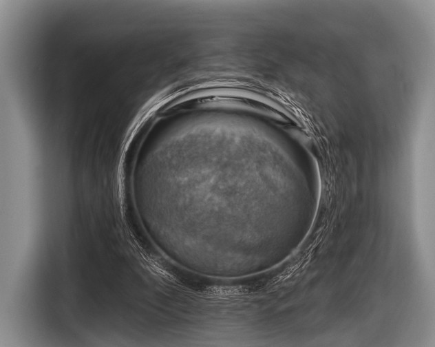 X0000116550296200912171354