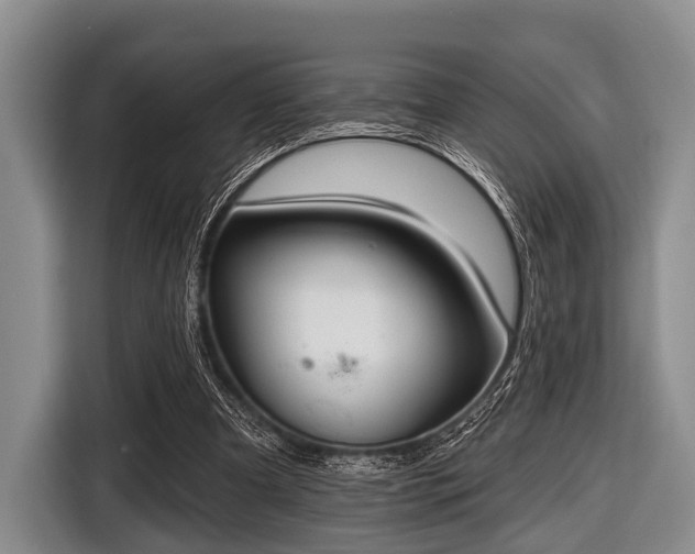 X0000116550297200912171354