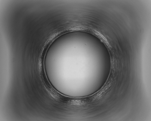 X0000116550298200912171354