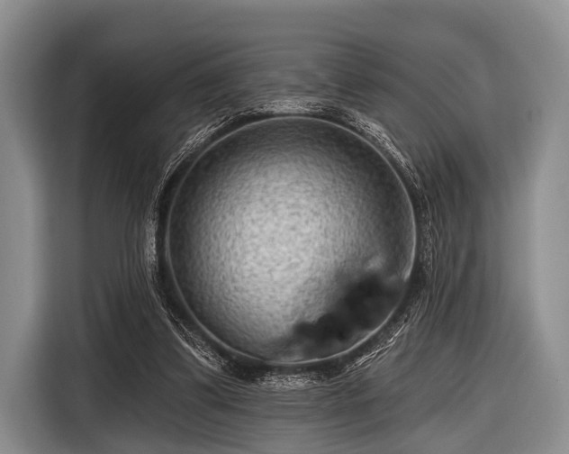 X0000116550299200912171354