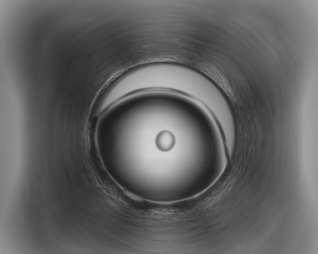 X0000116550300200912171354