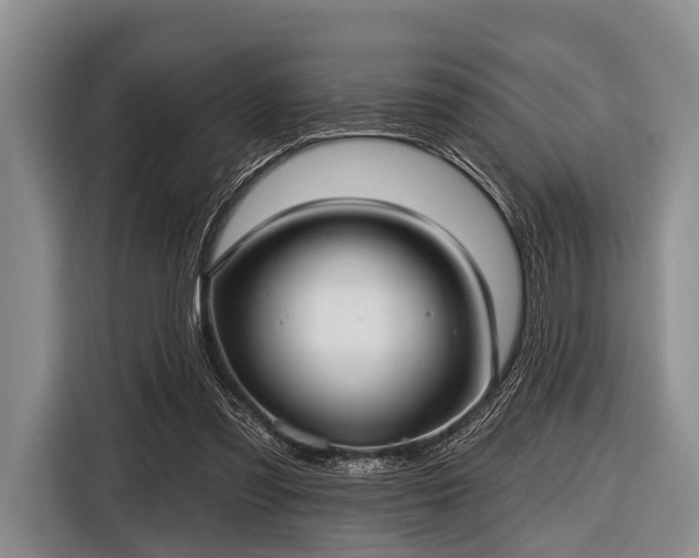 X0000116550301200912171354