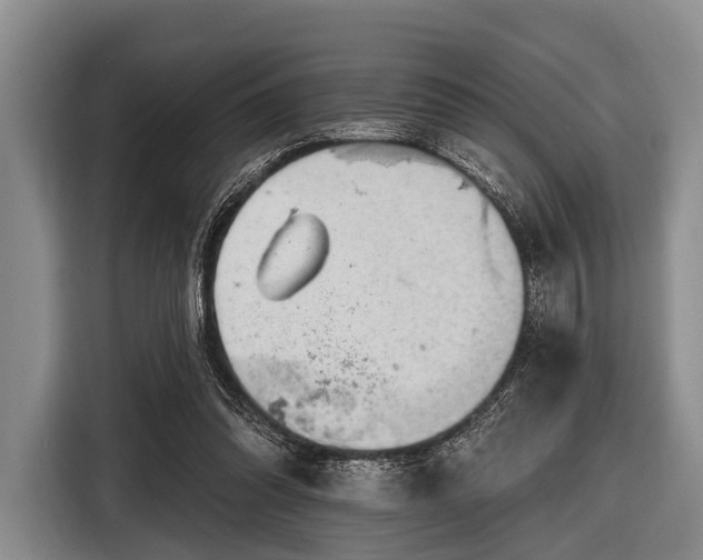 X0000116550302200912171354