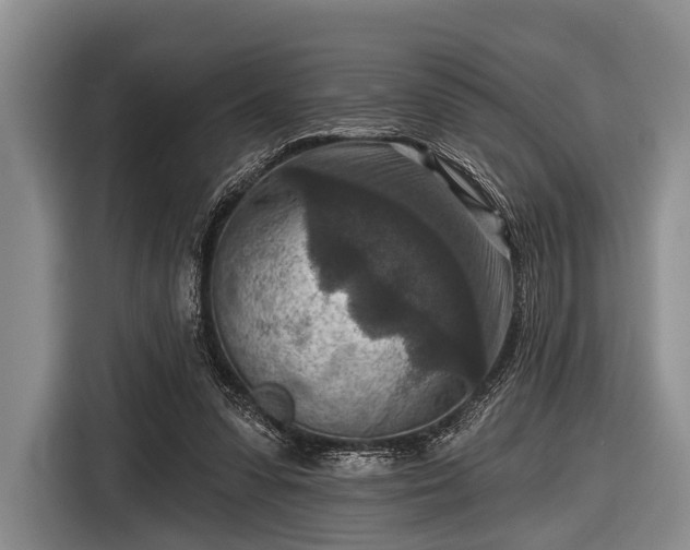 X0000116550303200912171354