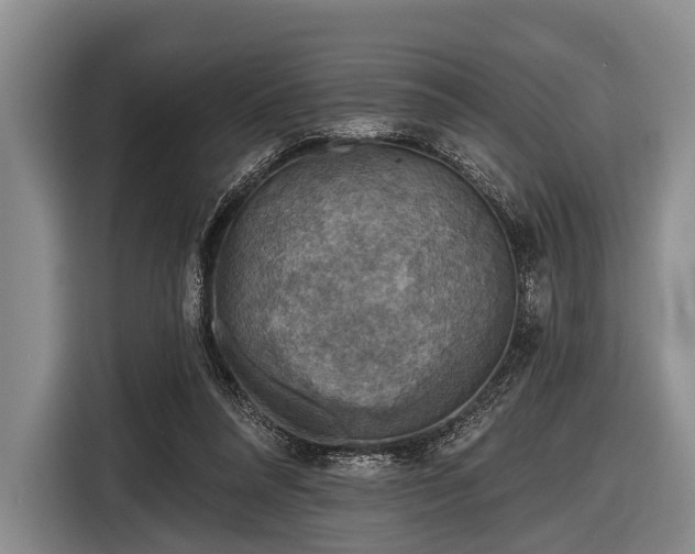 X0000116550304200912171354