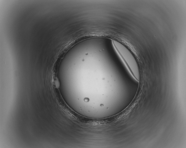 X0000116550305200912171354