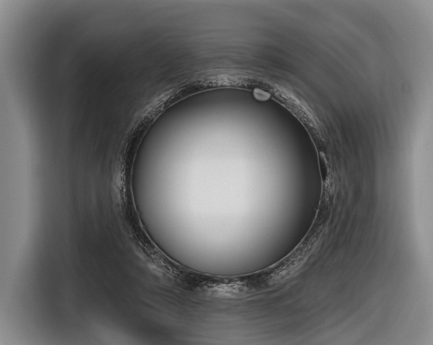 X0000116550306200912171354