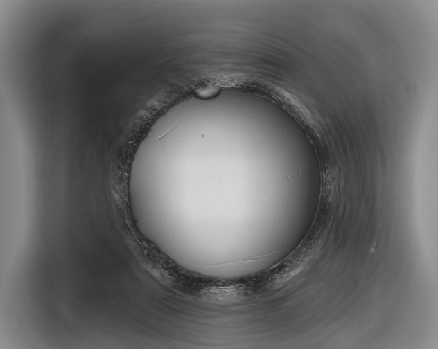 X0000116550307200912171354