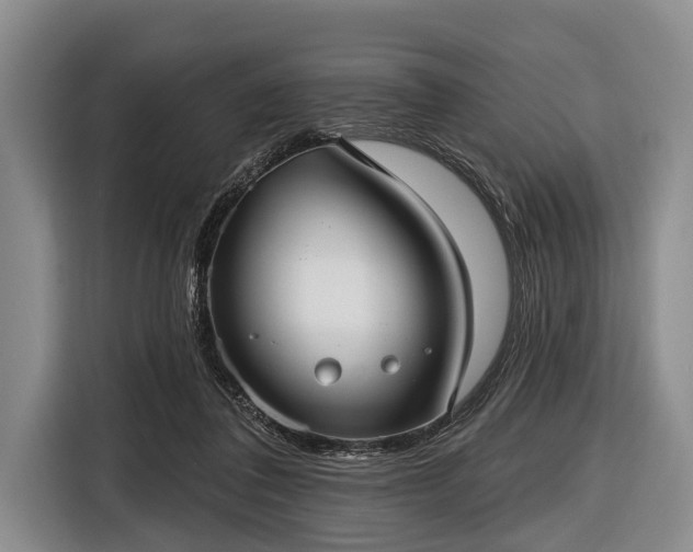 X0000116550308200912171354