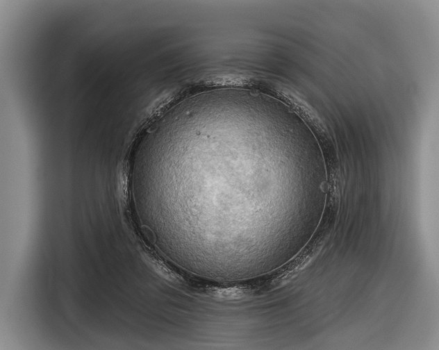 X0000116550309200912171354